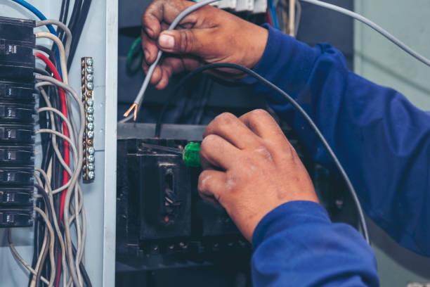 Best Electric Panel Repair  in Wallburg, NC